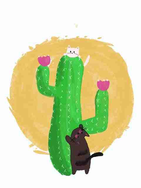 暗网新站点入口自动刷新机制|新兴站点分布动态访问时间窗受限