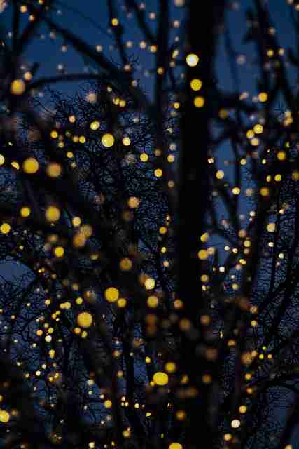 onlyfnas网址站内互动趋势追踪|观众画像分析报告成为热议焦点