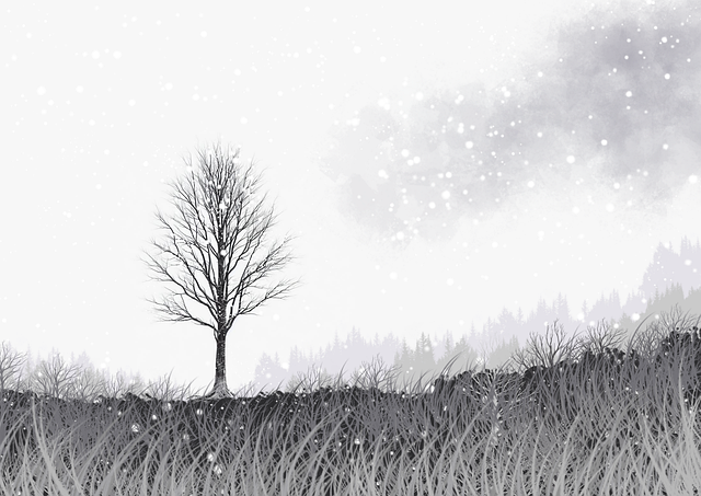 暗网禁地入口匿名社区趋势|黑市热点榜解读活跃度持续上升