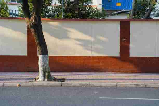 探花视频会员独享内容|恋爱试镜片段专区受热捧