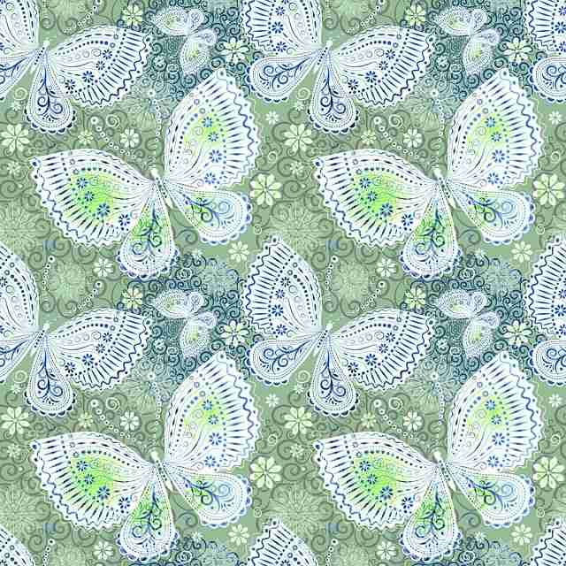 探花视频app视觉冲击力测试汇总｜频道更新节奏控制镜头运用成熟